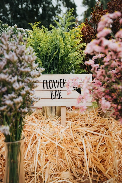 Gardening with Crochet Decor