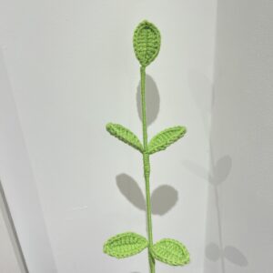 Green leaf