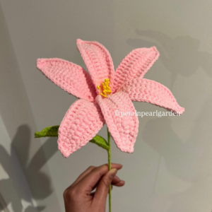 Large baby pink lily
