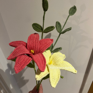 Dark pink &yellow lily bouquet