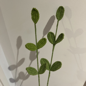 Dark green leaf
